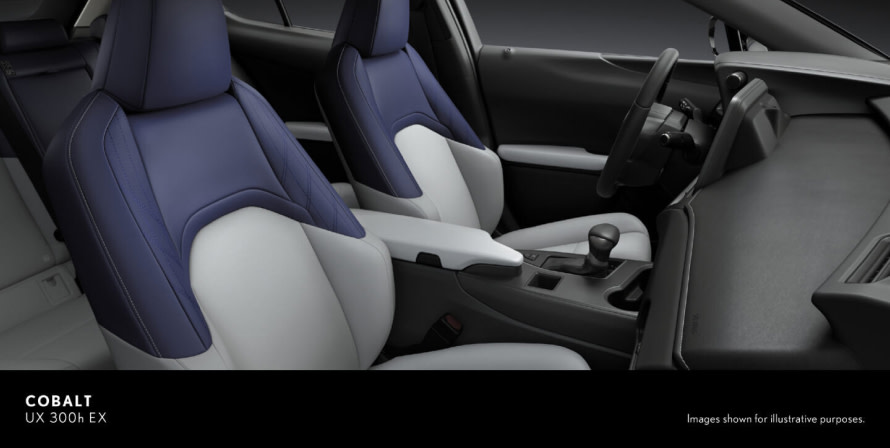 LEXUS UX 300h EX