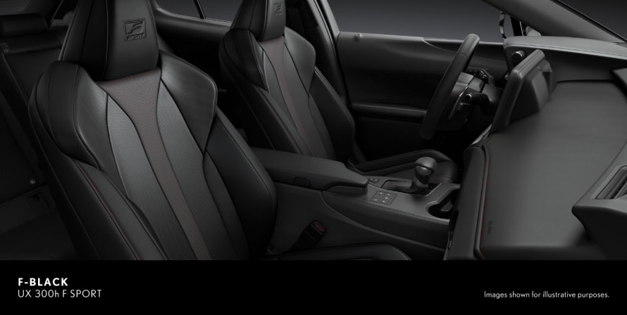 LEXUS UX 300h EX
