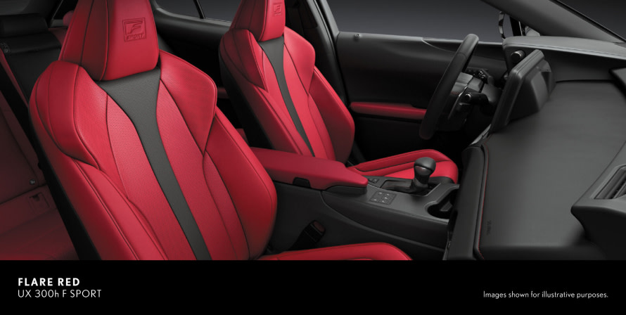 LEXUS UX 300h EX