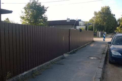 Vertikaalne puitaed