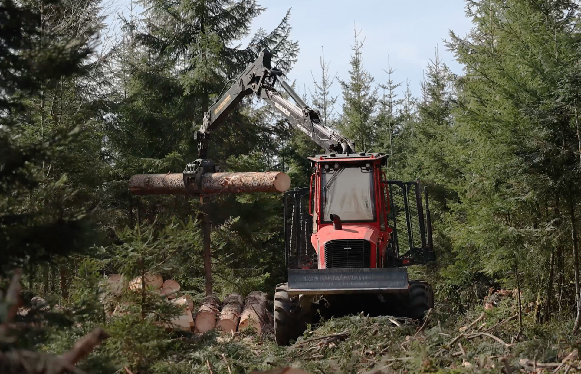 Bagger bei der Verarbeitung von Holzstämmen