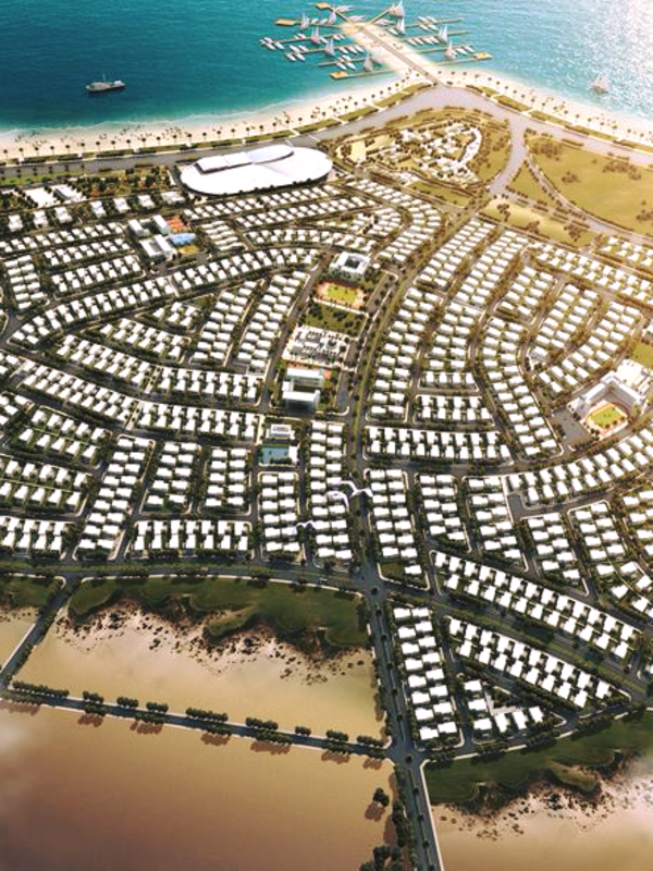 تاروت نيوبيش