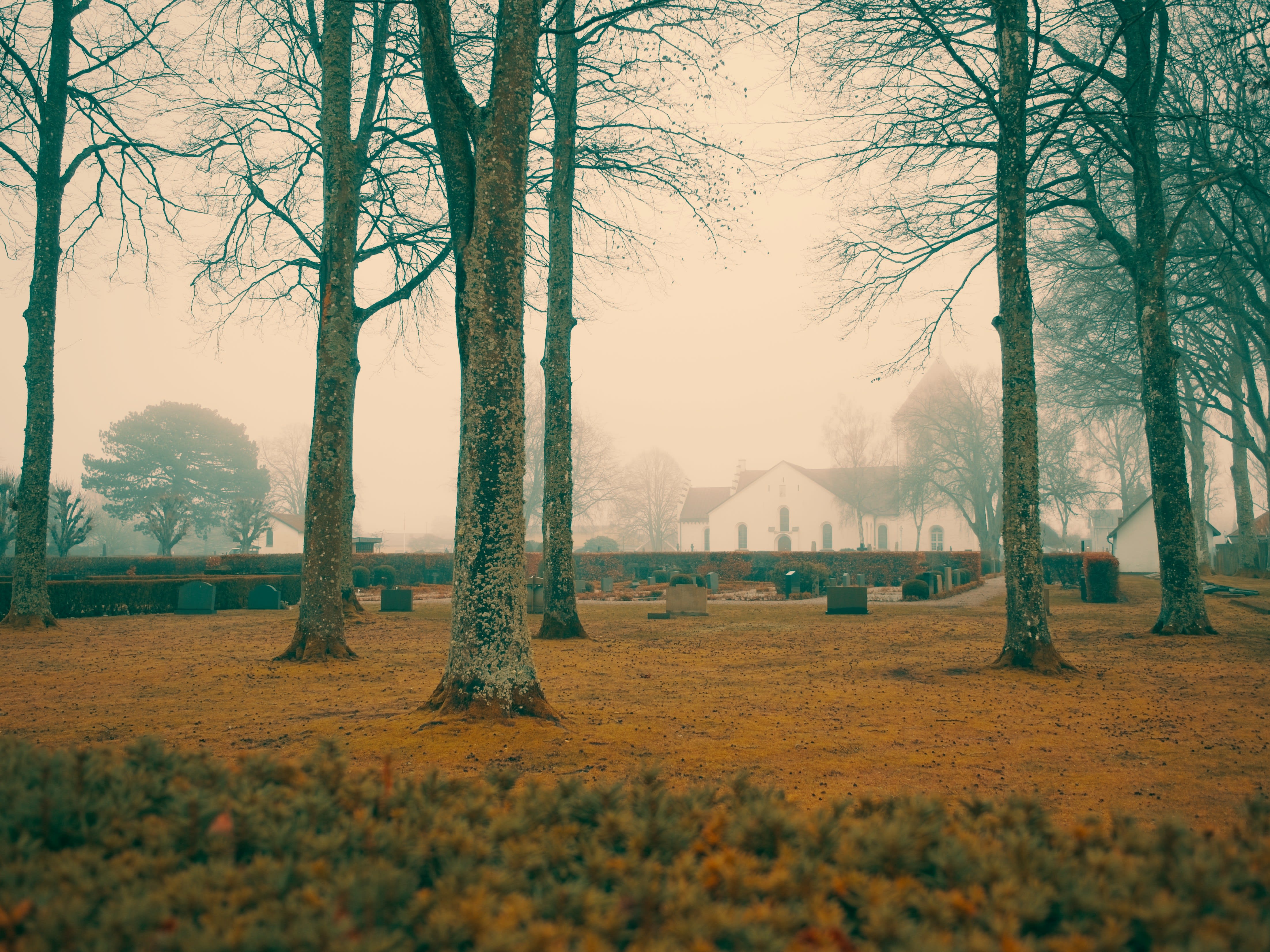 Church yard in the mist