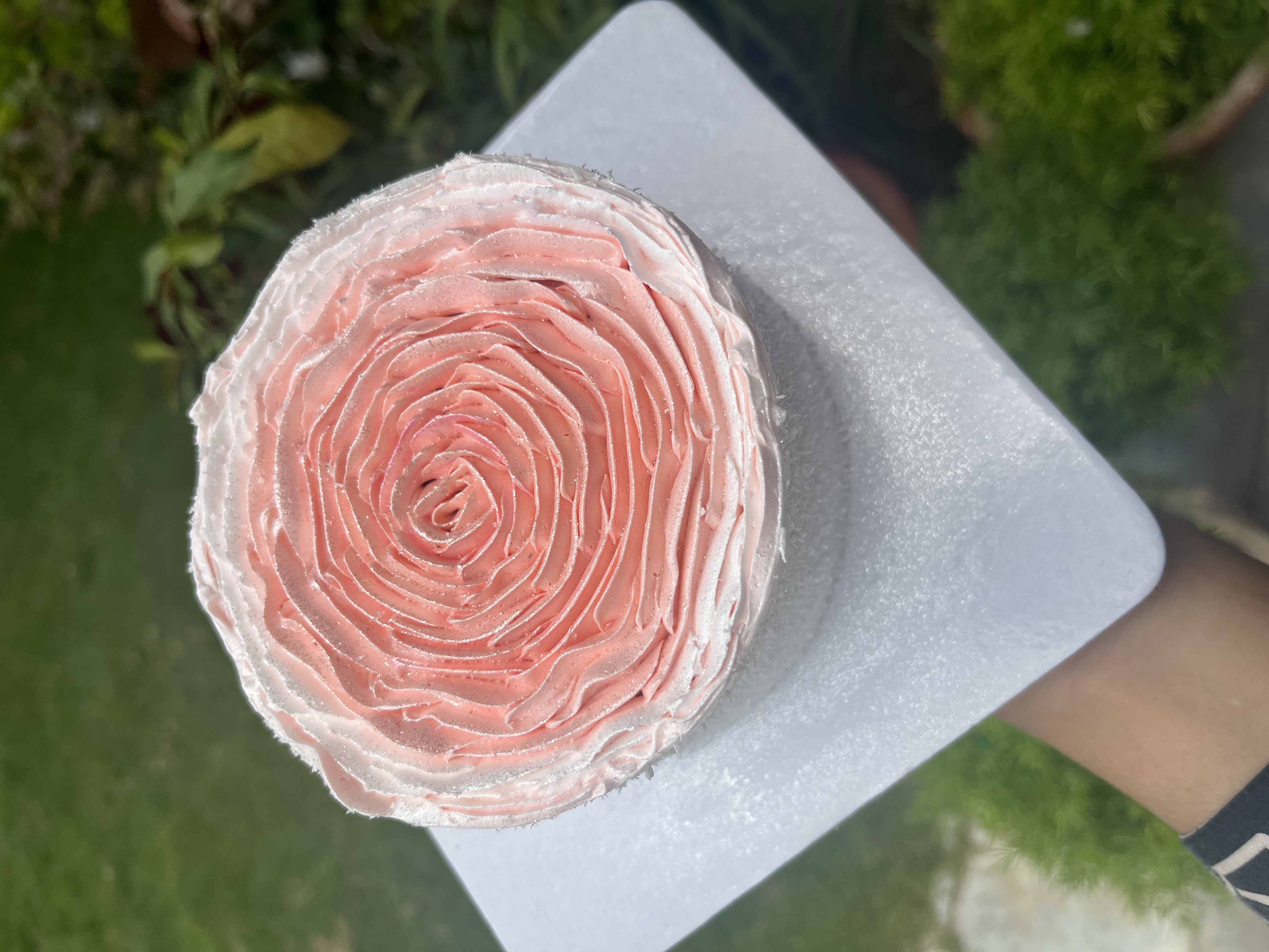Pink Rose Swirl Cake