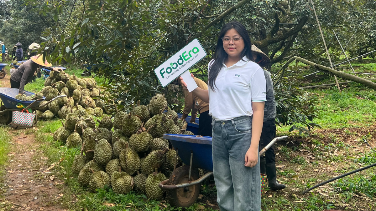 Inside FoodEra’s Durian Sourcing Visit: Understanding the Product at Origin