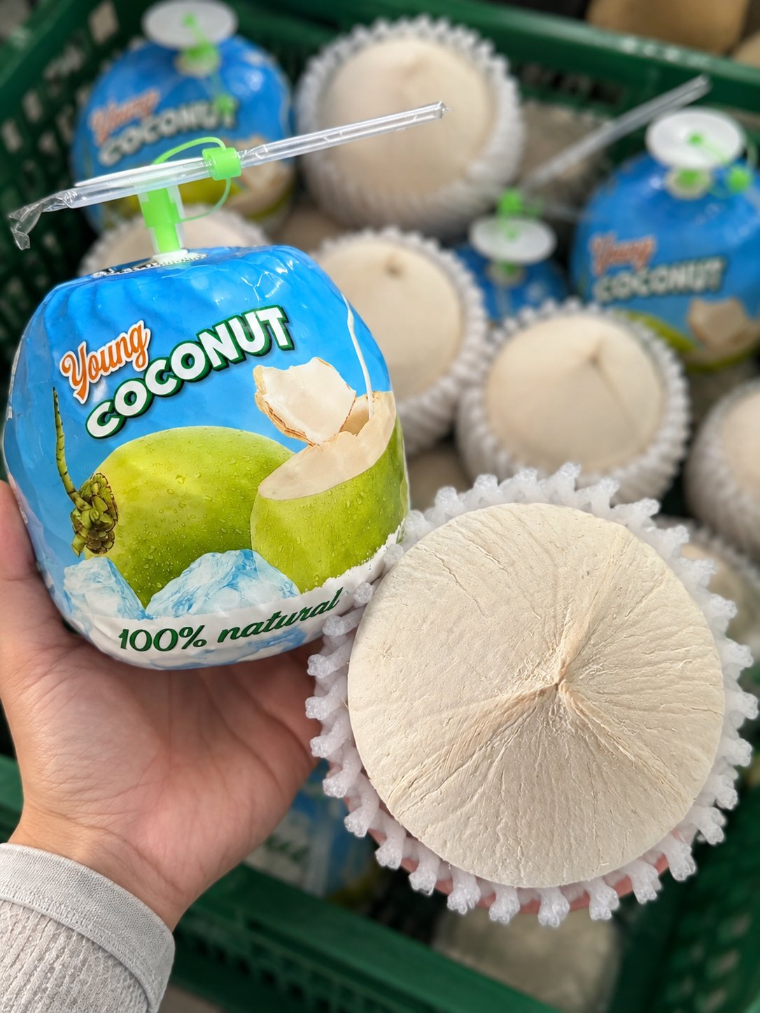 Fresh Coconut for Export: What Buyers Should Consider Beyond the Product