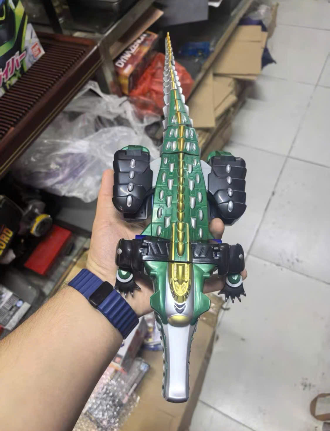 Cá sấu xanh