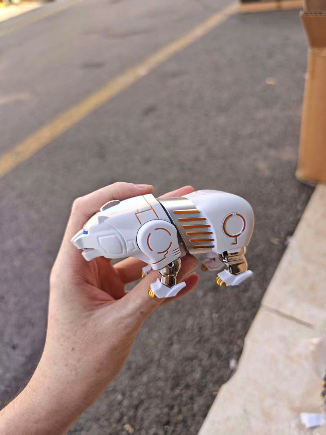Gấu trắng mới