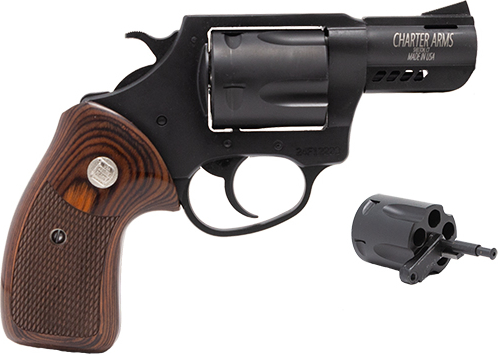Charter Arms Double Dog