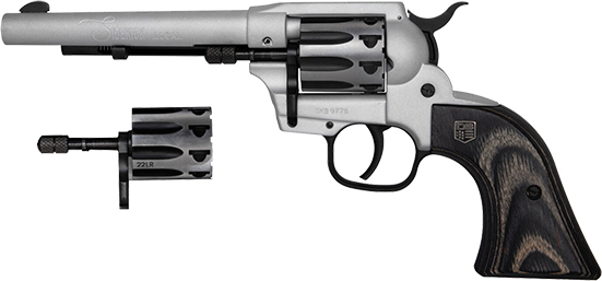 Diamondback Firearms DB Silver Sidekick TALO Edition