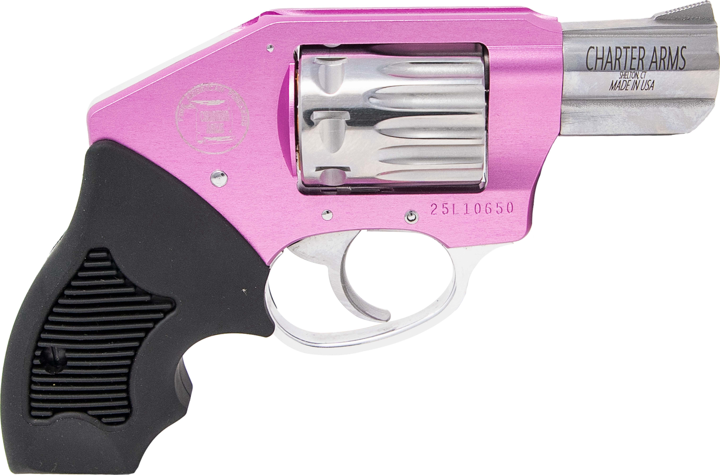 Charter Arms The Walker Off Duty