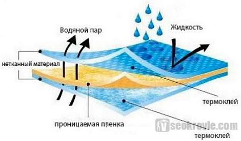 работа супердиффузионной мембраны