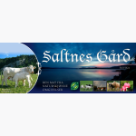 Logo til Saltnes gård