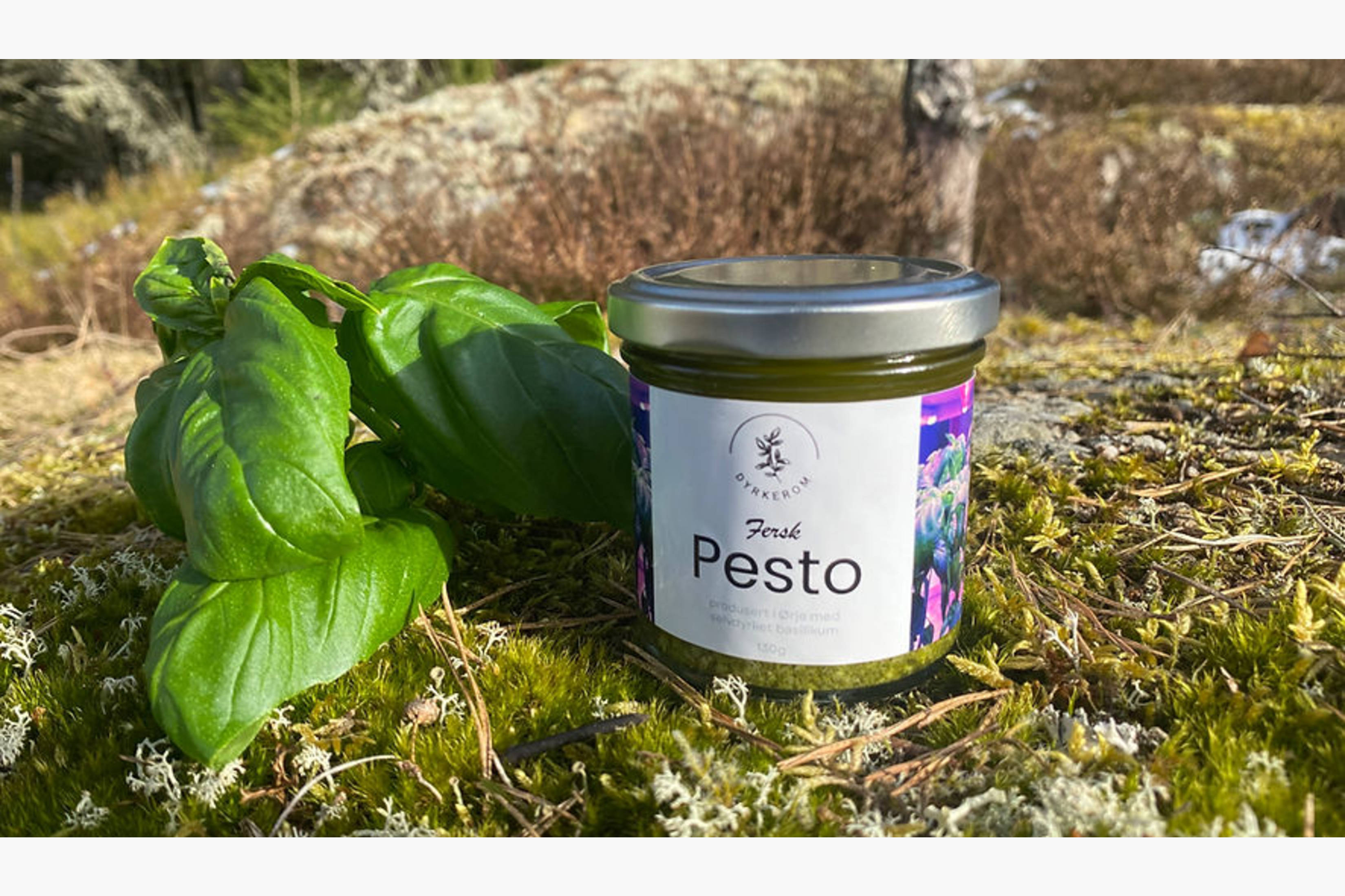 Pesto