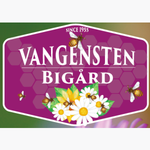 Logo til Vangensten Bigård