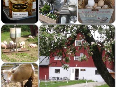 Bilde fra Løyte Gård