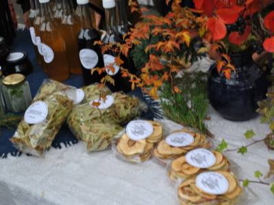 Bilde fra Villplukk