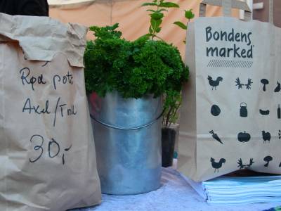 Bilde fra Lillian Holmeslet