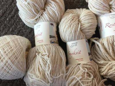 Bilde fra Lofoten Wool/Høylandet