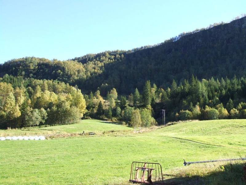 Bilde fra Botnatunet Gardsmat