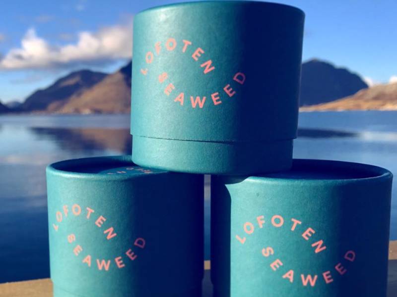 Bilde fra Lofoten Seaweed Company