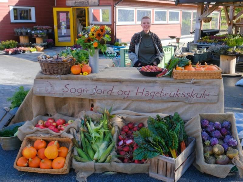 Bilde fra Sogn Jord- og Hagebruksskule
