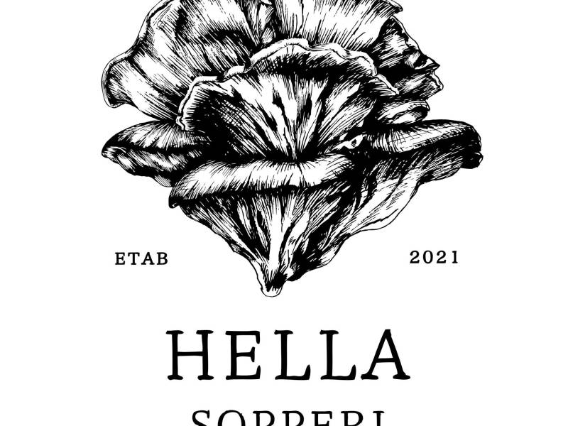 Bilde fra Hella Sopperi AS