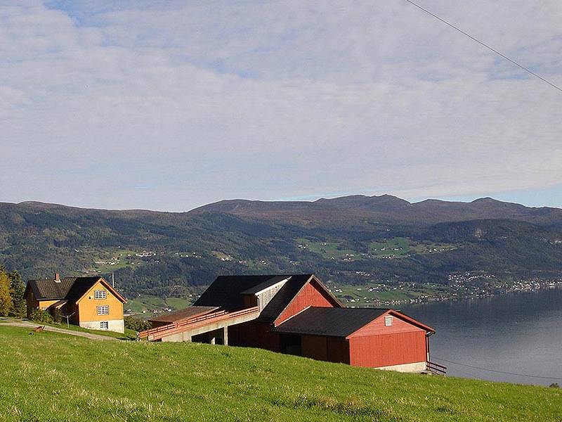 Bilde fra Storstad Angus