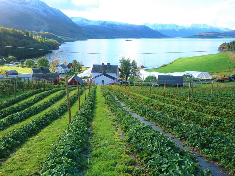 Bilde fra Vik gård
