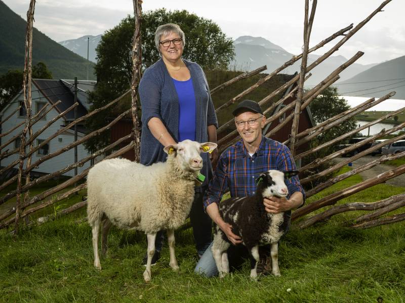 Bilde fra Dalheim gård