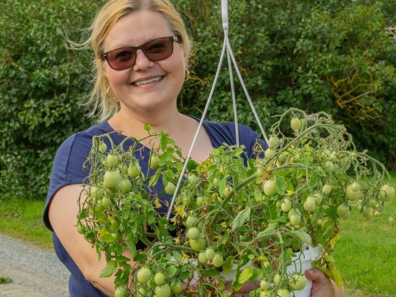 Bilde fra Humlehagen markedshage