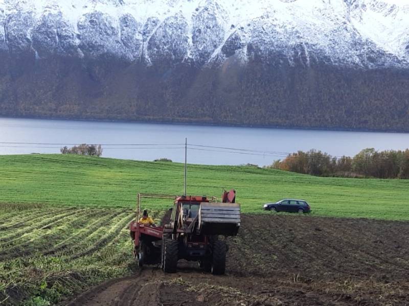 Bilde fra Kråkvågen gård