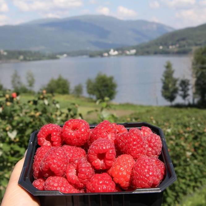 Bilde fra Drammen og Hønefoss