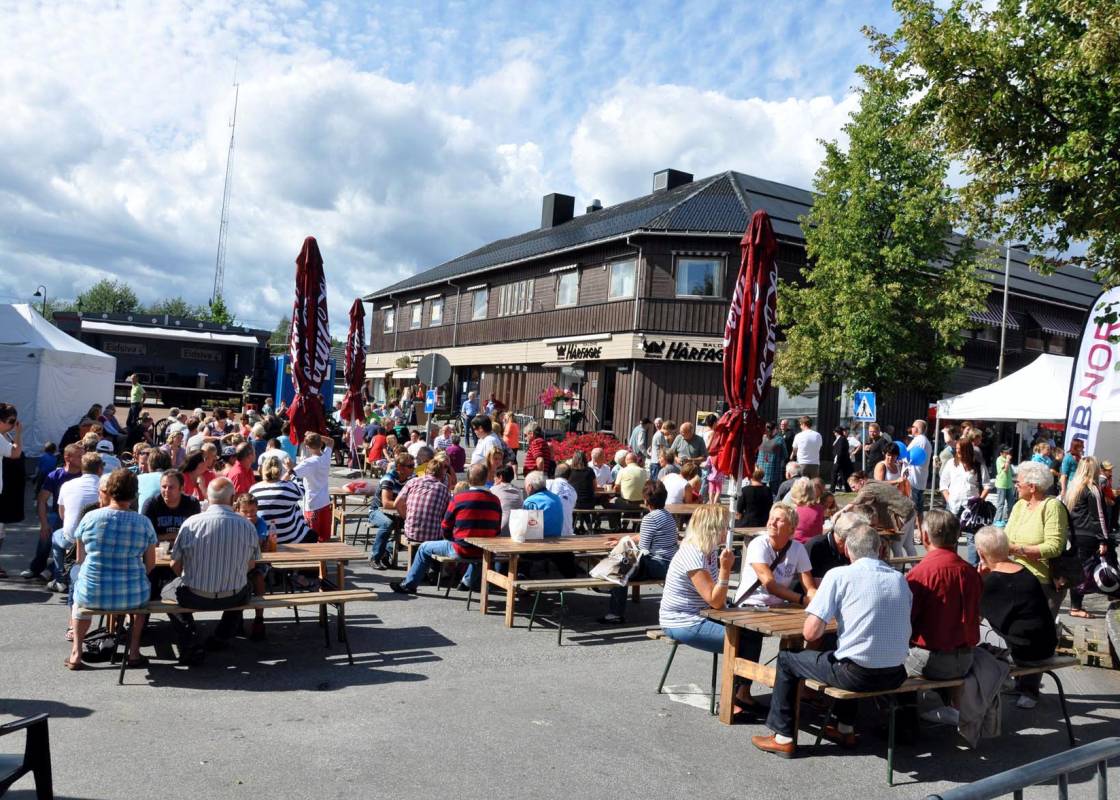 Bilde av Innlandet (Hedmark og Oppland)