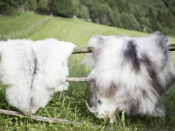 Utistu på Gikling