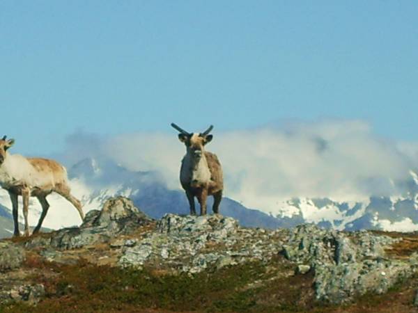 Tromsø Outdoor