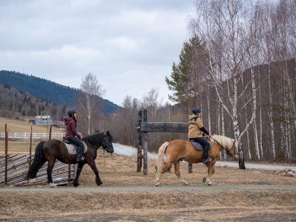 Øien Øvre Fjellridning og Hesteaktiviteter