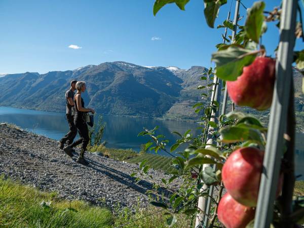 Hardangerbonden