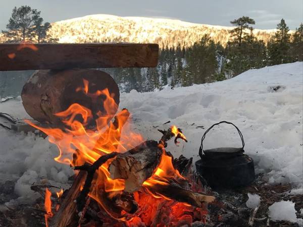 Steinkjer kommuneskoger-Ogndalsbruket KF