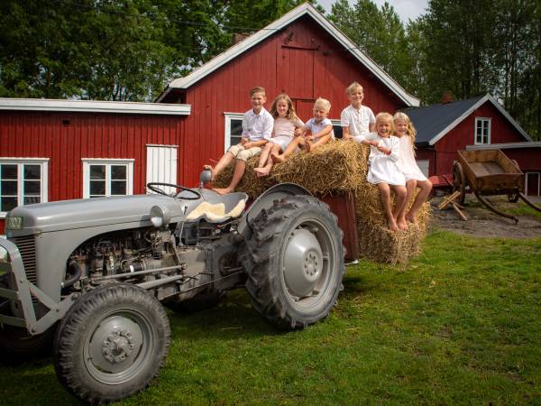 Fjøsnissens Verden - Buggegården