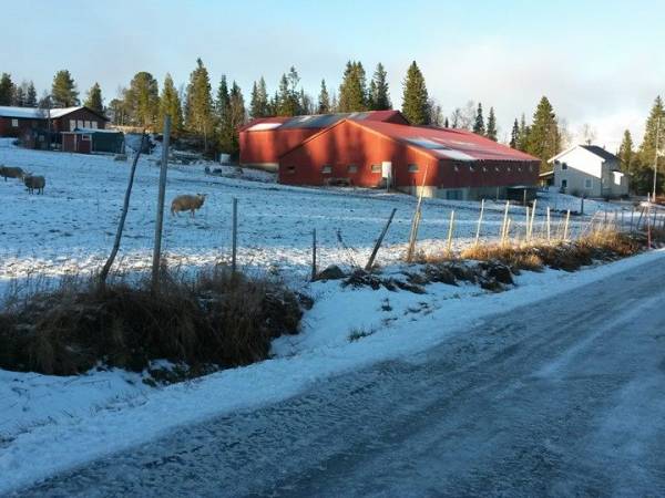 Skorovasmat - Skjenkestova i Skorovas