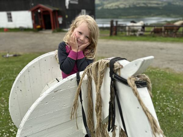 Hjerkinn Fjellstue og Fjellridning