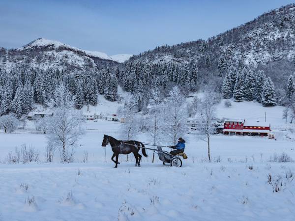 Solneset Gård