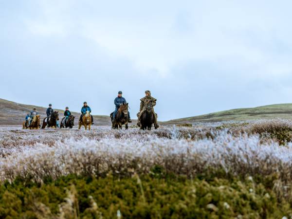 Øien Øvre Fjellridning og Hesteaktiviteter