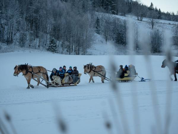 Øien Øvre Fjellridning og Hesteaktiviteter