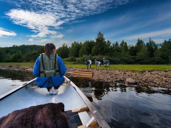 Camp Flakksvann