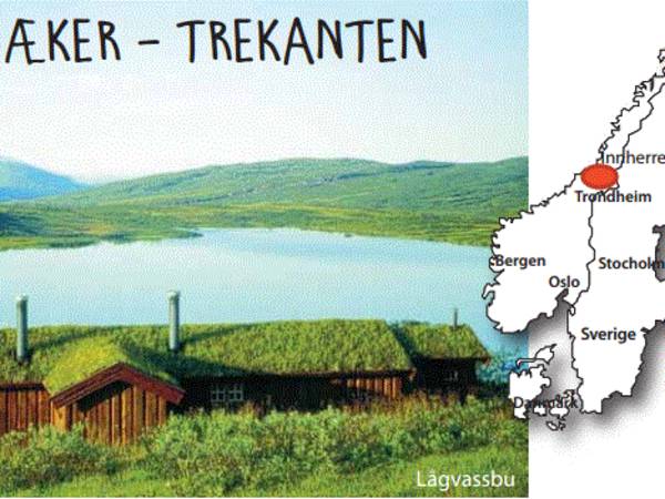 Steinkjer kommuneskoger-Ogndalsbruket KF