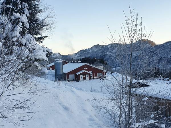 Storkvikne Gård