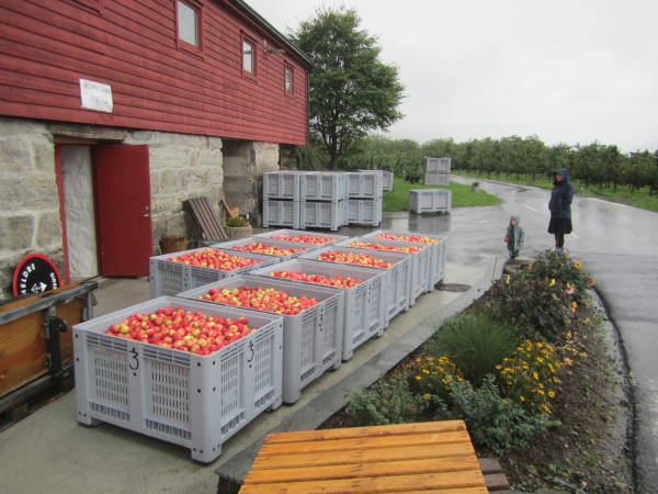 Helleland gard - Heldre sider og saft