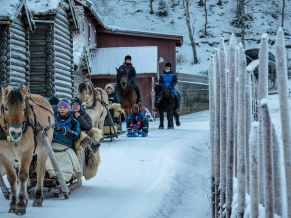 Øien Øvre Fjellridning og Hesteaktiviteter